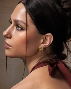 Boucles D'oreilles Clous Cœur ceinturées